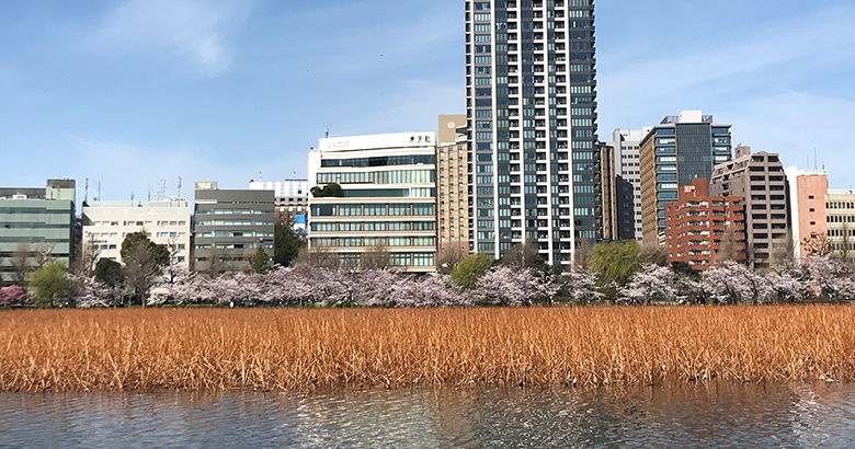 店舗 写真